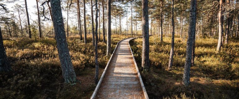 Apmeklē Rīsas pārgājienu taku ar velosipēdu Somā nacionālajā parkā (Priidu Saart, Visit Pärnu).