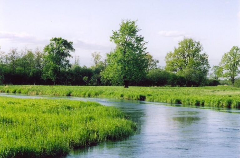 Pfad der Gehölzwiese Tõramaa (Tiina Korts).