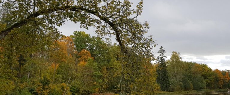 Lahmuse mõis (Viljandi Turismiinfokeskus).