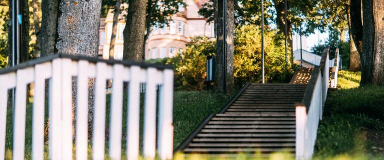 Viljandi trepimäest üles linna poole (Siim Verner Teder).