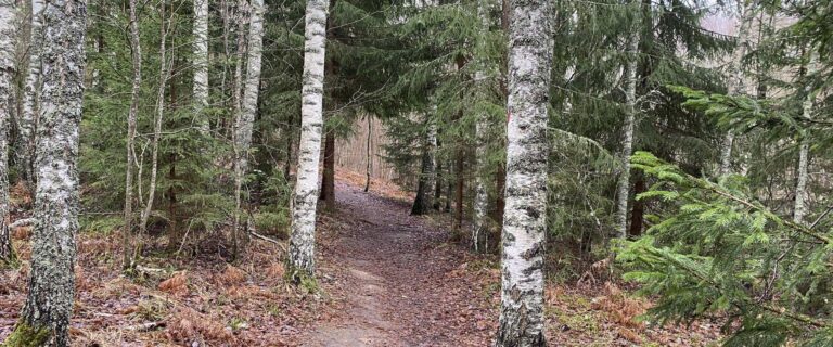 Vanaõue Puhkekeskuse jalgsimatk Sakala teel koos matkajuhiga (Liina Lõoke).
